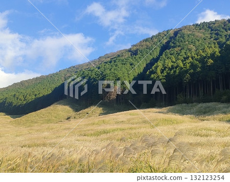 Susukino Plateau in Hakone, Japan's most popular tourist destination 132123254