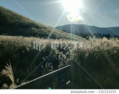 Susukino Plateau in Hakone, Japan's most popular tourist destination 132123255