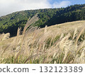 Susukino Plateau in Hakone, Japan's most popular tourist destination 132123389