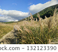 Susukino Plateau in Hakone, Japan's most popular tourist destination 132123390