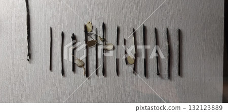Taxila sewing needle discovered from ancient excavation site showing Gandhara craftsmanship and daily life tools 132123889
