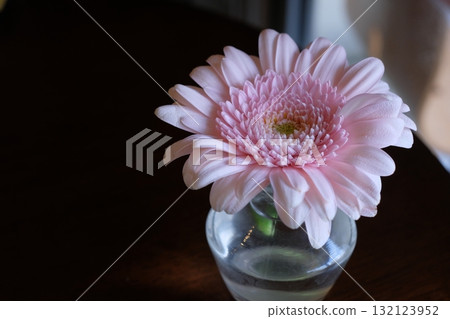 Gerbera flowers on a cafe table Gerbera flowers on a cafe table 132123952