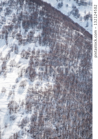Snowy Mountain Slope with Sparse Trees Snowy Mountain Slope with Sparse Trees 132124582