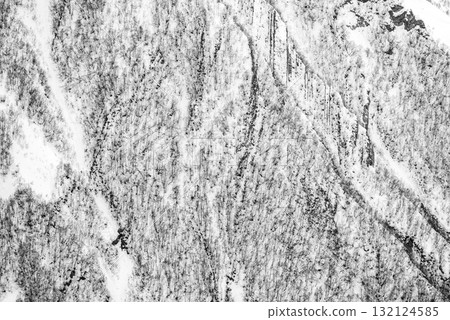 Aerial View of Snowy Forest with Winding Paths 132124585