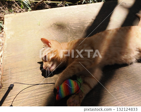 可愛的小貓玩玩具 132124833