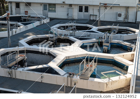 漁業研究站的室外水族館和實驗設施 132124952