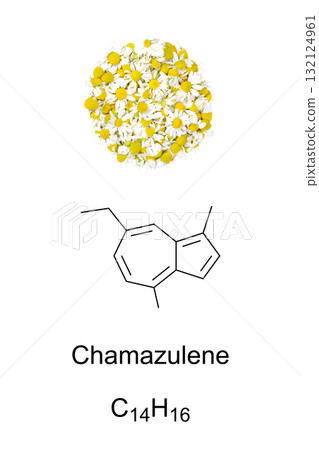 Chamomile flowers, and chamazulene, chemical formula and molecular structure. Fresh flower heads of Matricaria chamomilla, contain a blue-violet azulene derivative, with anti-inflammatory properties. Chamomile flowers, and chamazulene, chemical formula and molecular structure. Fresh flower heads of Matricaria chamomilla, contain a blue-violet azulene derivative, with anti-inflammatory properties. 132124961