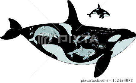 Orca whale silhouette filled with pod of dolphins in graphic vector style showing marine life interconnectedness 132124978