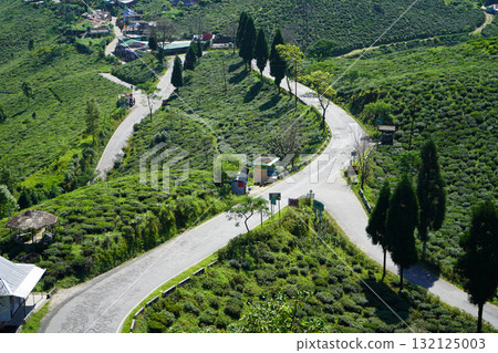 Angle View of Winding Mountain Road Junction and Small Village in Tea Plantation at Darjeeling Mirik Angle View of Winding Mountain Road Junction and Small Village in Tea Plantation at Darjeeling Mirik 132125003