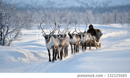 Reindeer pulling sled through snow, traditional gear and clothing visible. Life in permafrost conditions, climate change problems on the planet. Global warming 132125085