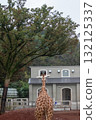 Landscape with giraffe 132125337