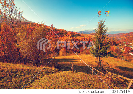 View of colorful mountain slopes on a sunny autumn day. Beautiful landscape. Carpathian Mountains, Carpathian Rus, Ukraine View of colorful mountain slopes on a sunny autumn day. Beautiful landscape. Carpathian Mountains, Carpathian Rus, Ukraine 132125419