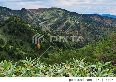 A sea of clouds stretches from the autumn leaves of Shiga Kogen to the Northern Alps 132125706