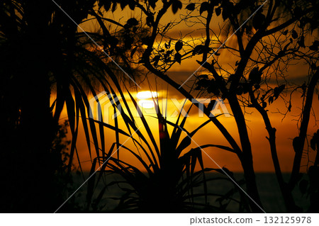 Okinawa Autumn Sunset Magic Hour 132125978