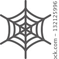 spiderweb  132125996