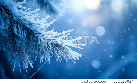 A frost-covered spruce branch against a blue winter background. A magical Christmas and New Year. A frost-covered spruce branch against a blue winter background. A magical Christmas and New Year. 132126024
