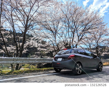 櫻花和標緻208 132126526