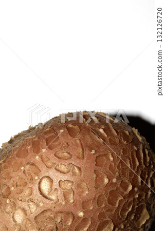 Potato grown in the garden with flaky skin scab fungus natural on white background 132126720