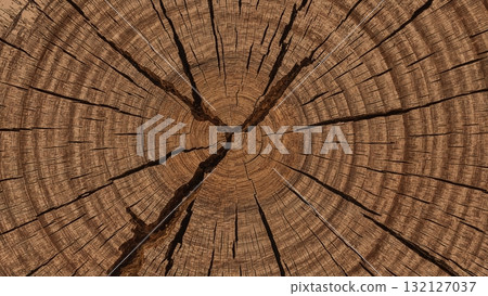 Natural wood surface, close view wooden pattern background Natural wood surface, close view wooden pattern background 132127037