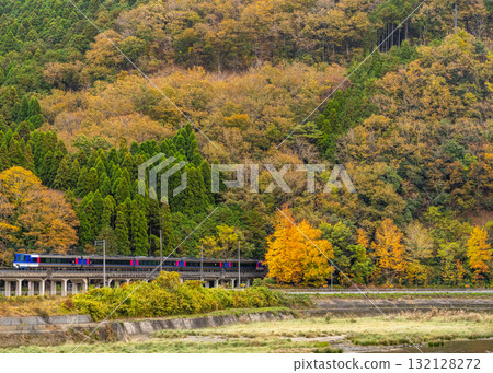 Chizu Express Super Hakuto No. 6 bound for Osaka Station running through autumn leaves in Sayo-cho, Sayo-gun, Hyogo Prefecture 132128272