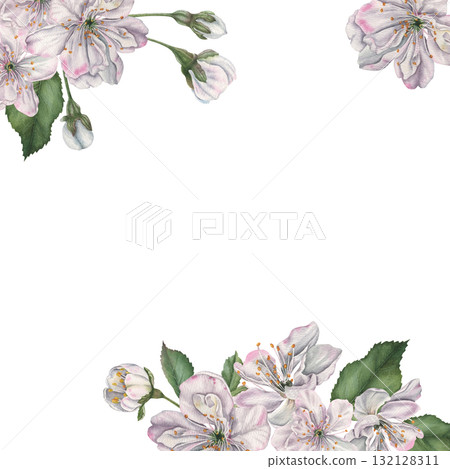 Square frame with white cherry flowers, buds and green leaves in the corner with space for text. Hand drawn watercolor illustration of spring blooming elements on isolated background. Floral layout Square frame with white cherry flowers, buds and green leaves in the corner with space for text. Hand drawn watercolor illustration of spring blooming elements on isolated background. Floral layout 132128311
