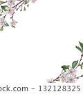 Square frame with white cherry flowers, buds, green leaves and tree branch in the corner with space for text. Hand drawn watercolor illustration of spring blooming elements on isolated background 132128325