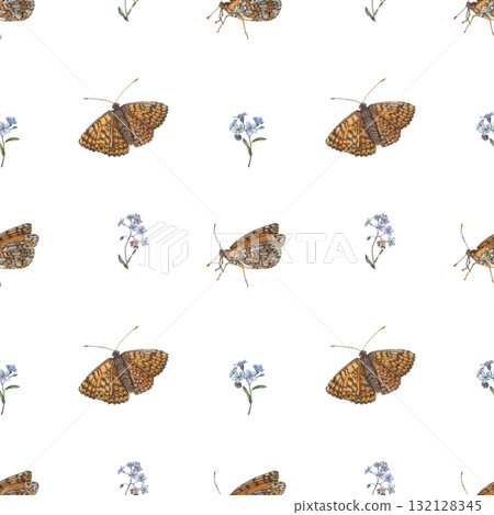 Forget-me-not and butterfly. Floral seamless pattern. Hand drawn watercolor illustration of spring flowers and Insect with Intricate ornament on wings in orange and blue colors on white background Forget-me-not and butterfly. Floral seamless pattern. Hand drawn watercolor illustration of spring flowers and Insect with Intricate ornament on wings in orange and blue colors on white background 132128345