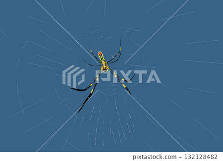 Large orb spider Large orb spider 132128482