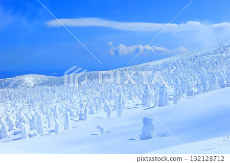 [山形]在晴朗的天空下的Zao霜群 132128712