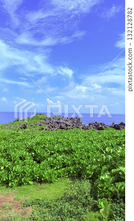 Beautiful tropical beach and azure sky Beautiful tropical beach and azure sky 132128782