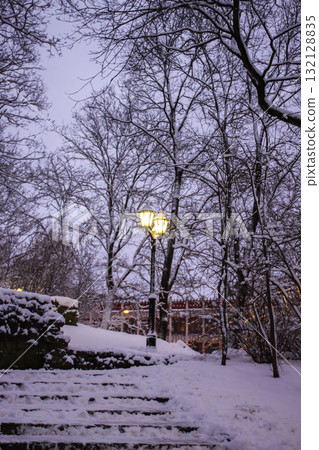 Urban lanterns in snow-covered Riga park. Urban lanterns in snow-covered Riga park. 132128835