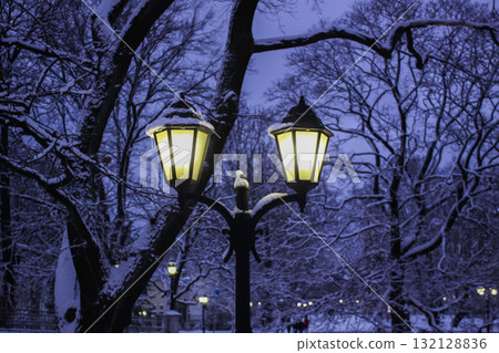 Lanterns in snow-covered Riga park. Lanterns in snow-covered Riga park. 132128836