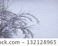 Frosted tree branches creating winter beauty. 132128965