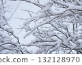 Scenic snowy branches in cold seasonal landscape. 132128970