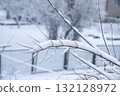 Close-up of winter tree with fresh snow. 132128972