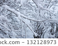 Close-up of winter tree with fresh snow. 132128973