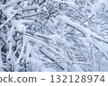 Close-up of winter tree with fresh snow. 132128974