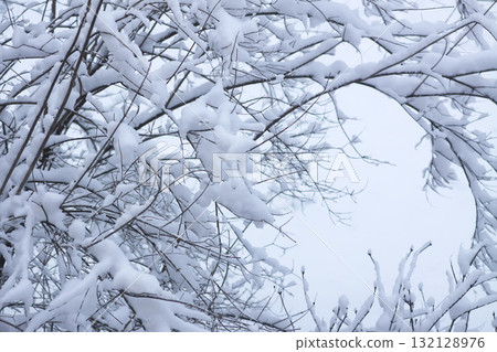 Tranquil winter scene of tree branches in white snow. 132128976