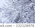 Natural detail of twigs covered with fresh snowfall. 132128978