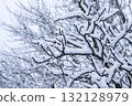 Natural detail of twigs covered with fresh snowfall. 132128979