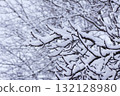 Snow-covered branches in winter park. 132128980