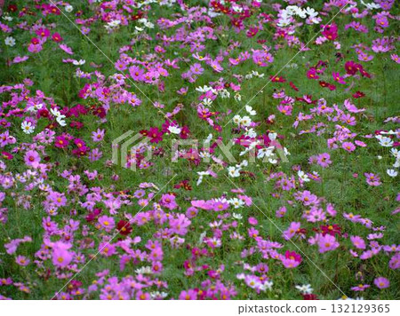  宇宙領域 132129365