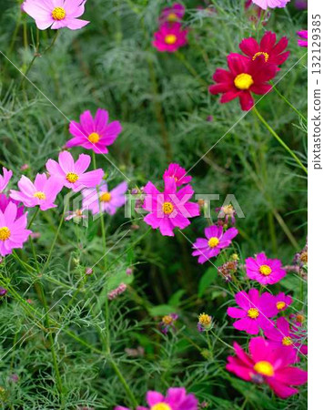  宇宙領域 132129385