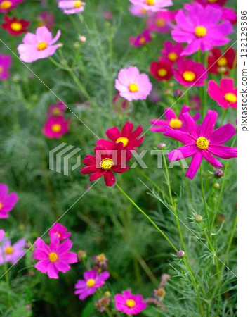  宇宙領域 132129386