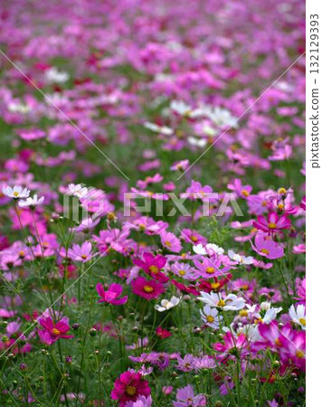  宇宙領域 132129393