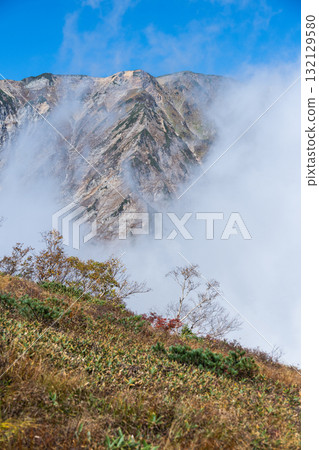 Beautiful autumn leaves in Hakuba 132129580