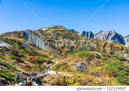 Beautiful autumn leaves in Hakuba 132129587