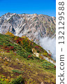 Beautiful autumn leaves in Hakuba 132129588