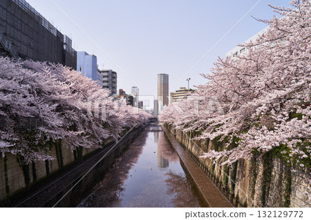 Tokyo, Meguro River 132129772