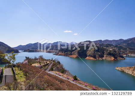 Spring at Lake Miyagase in Kanagawa Prefecture 132129789